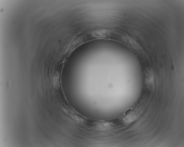 X0000068810332200605121257