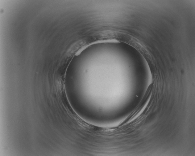 X0000068810333200605121257