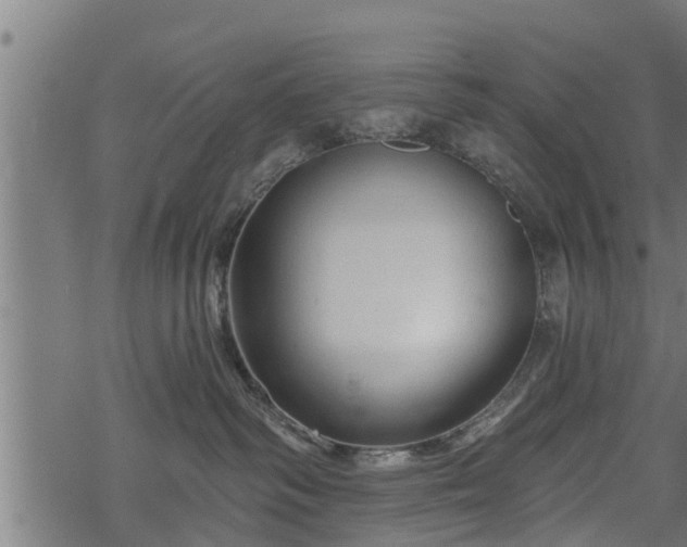 X0000068810334200605121257