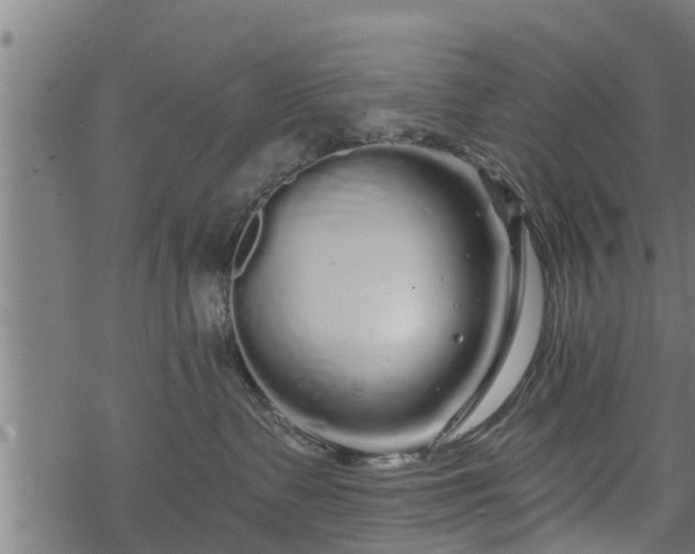 X0000068810335200605121257