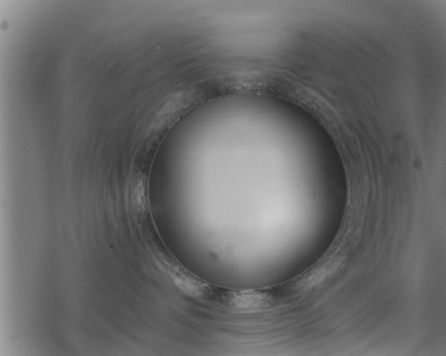 X0000068810336200605121257