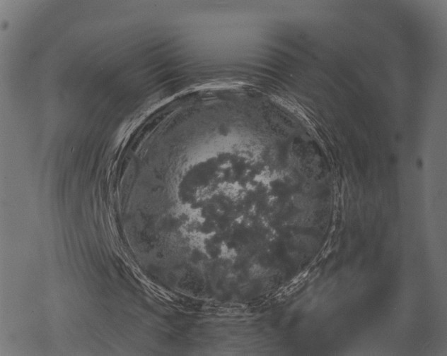 X0000068810337200605121256