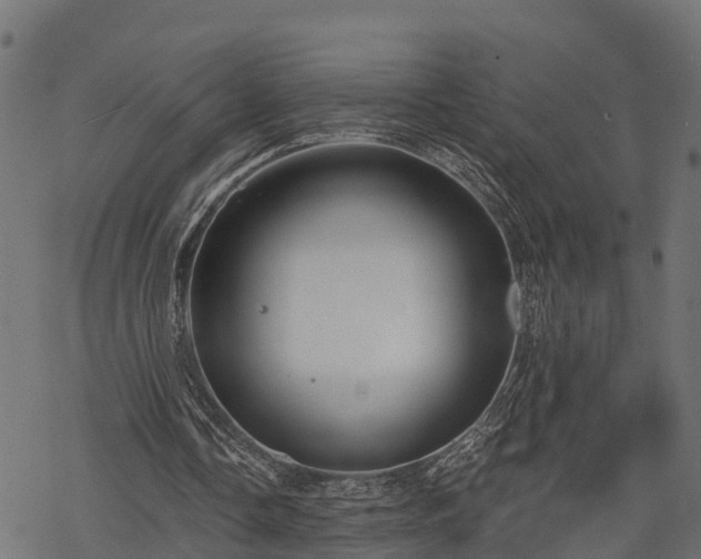 X0000068810338200605121256