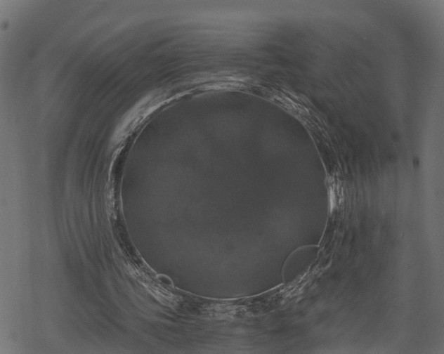 X0000068810339200605121256