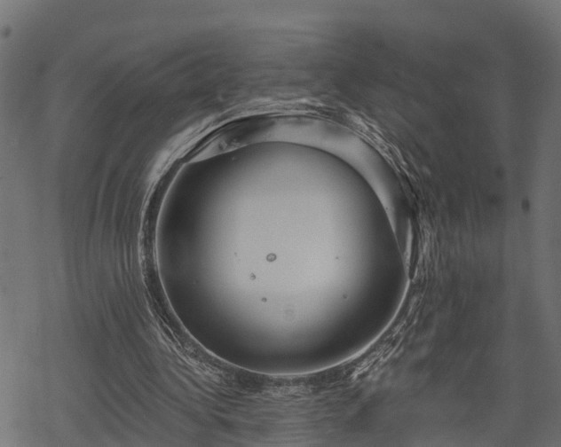 X0000068810340200605121256