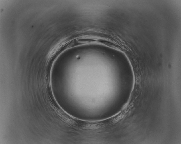 X0000068810341200605121256