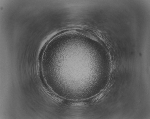 X0000068810342200605121256