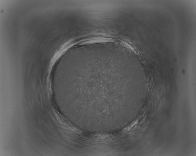 X0000068810343200605121256