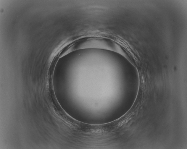 X0000068810344200605121256