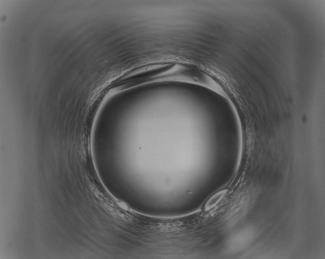 X0000068810345200605121256