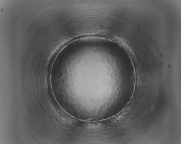 X0000068810346200605121256