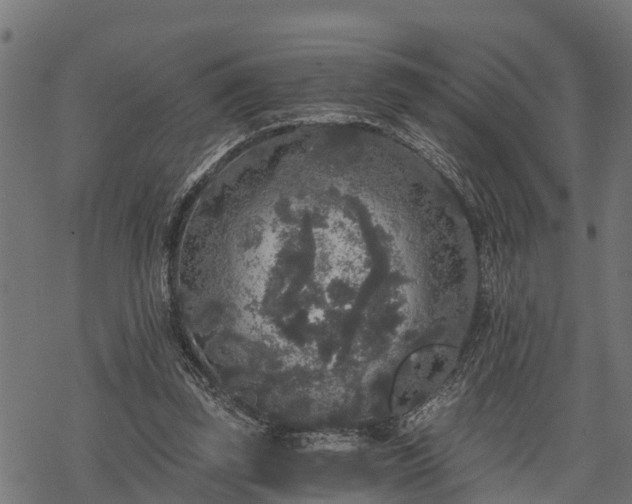 X0000068810347200605121256