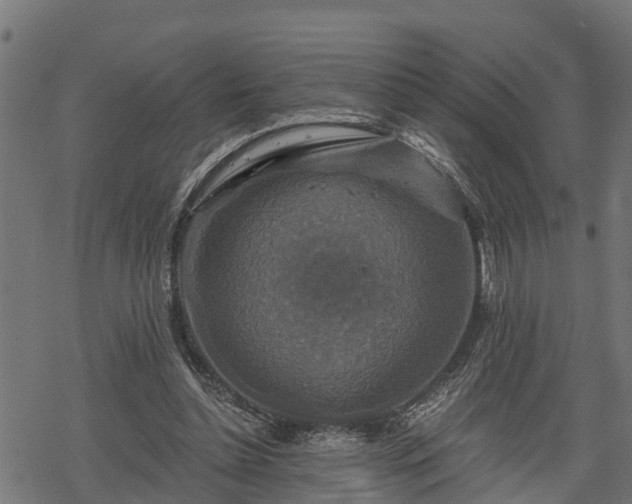 X0000068810348200605121256