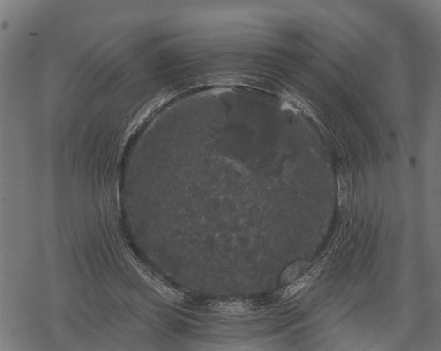 X0000068810349200605121256