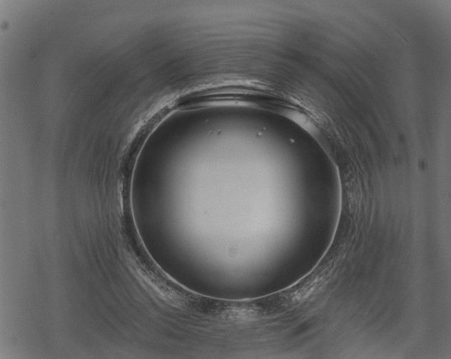 X0000068810350200605121256