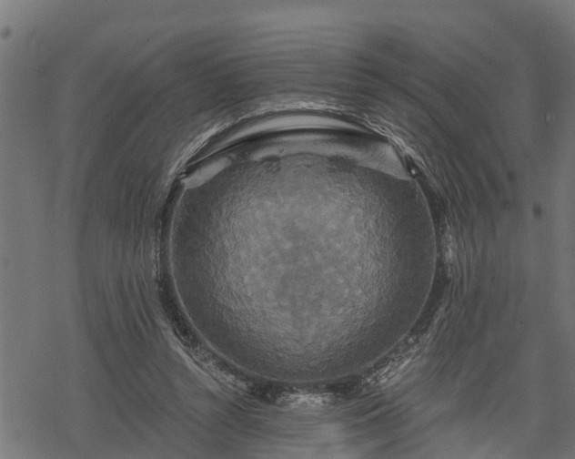 X0000068810352200605121256