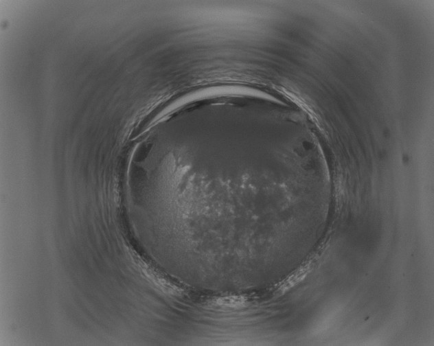 X0000068810353200605121256