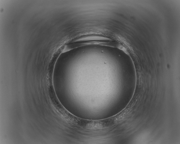 X0000068810354200605121256