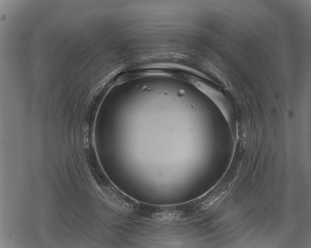 X0000068810356200605121256