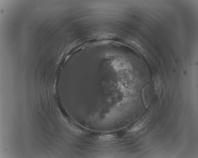 X0000068810357200605121256