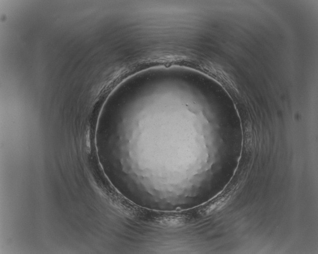 X0000068810358200605121256