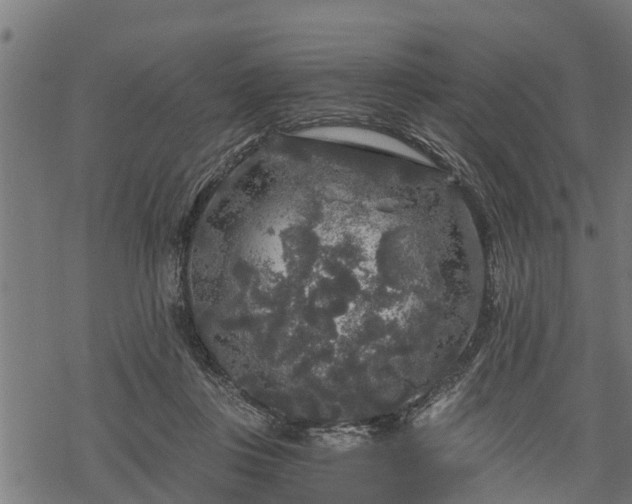 X0000068810359200605121256