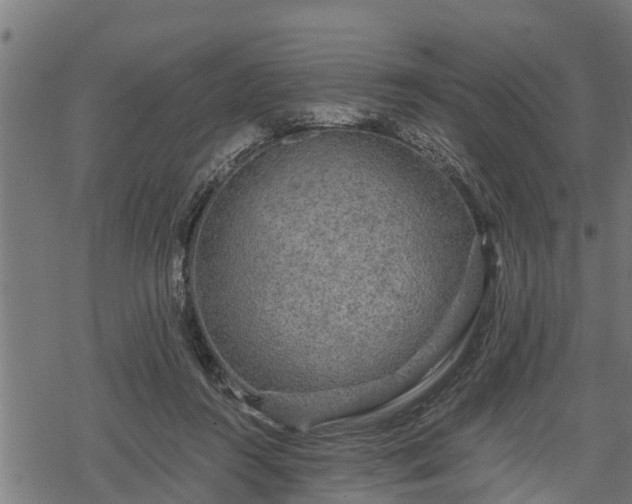 X0000068810360200605121256