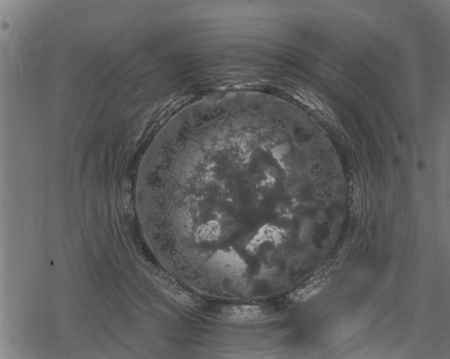 X0000068810361200605121256