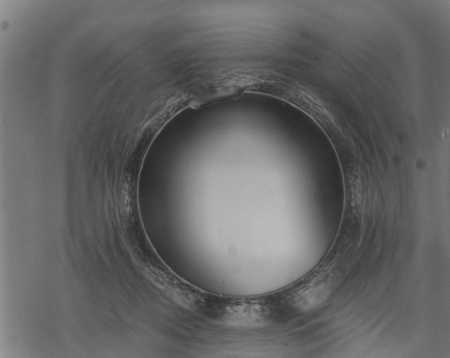 X0000068810362200605121256