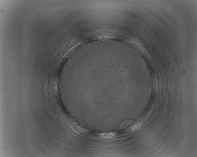 X0000068810363200605121256