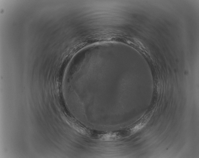 X0000068810366200605121256