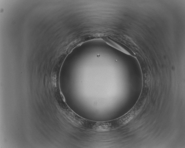 X0000068810368200605121256