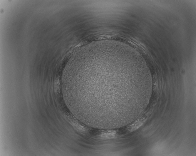 X0000068810369200605121256