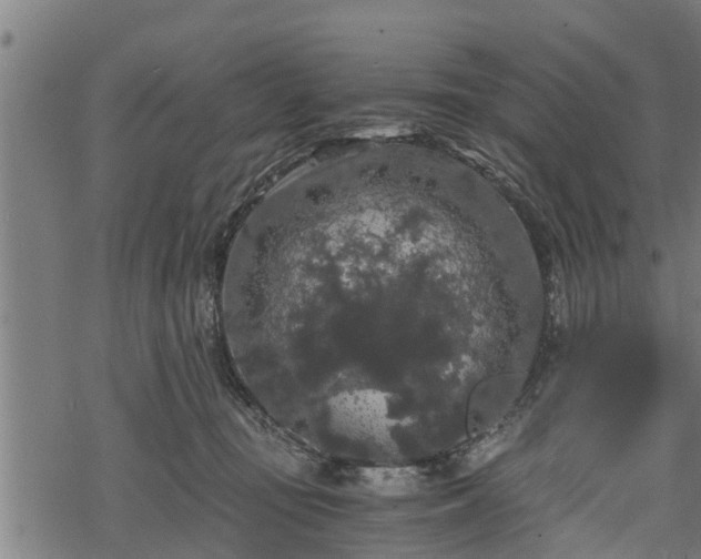 X0000068810371200605121256