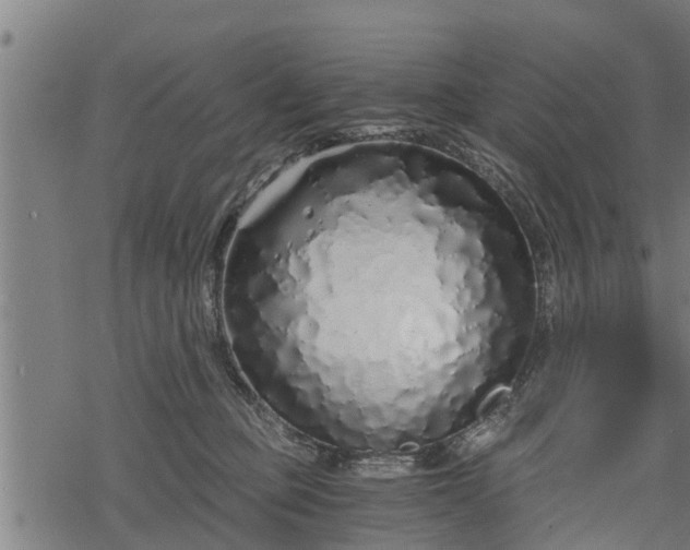 X0000068810373200605121256