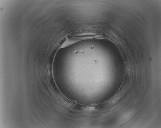 X0000068810374200605121256