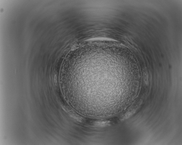 X0000068810375200605121256