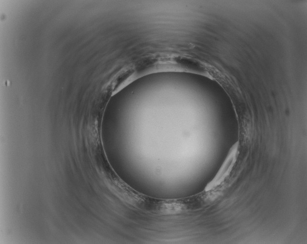 X0000068810376200605121256