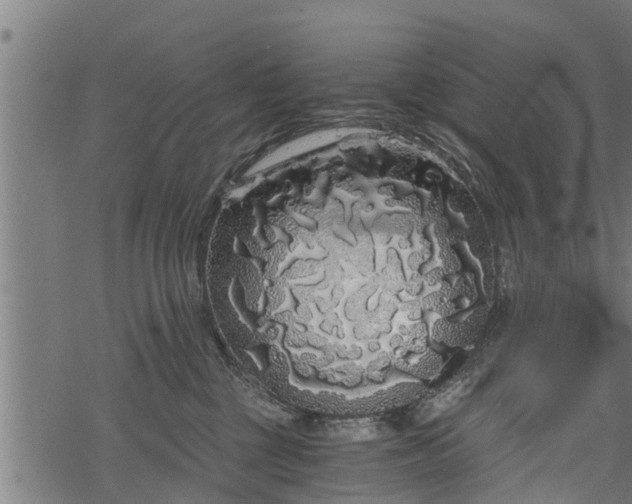 X0000068810377200605121256