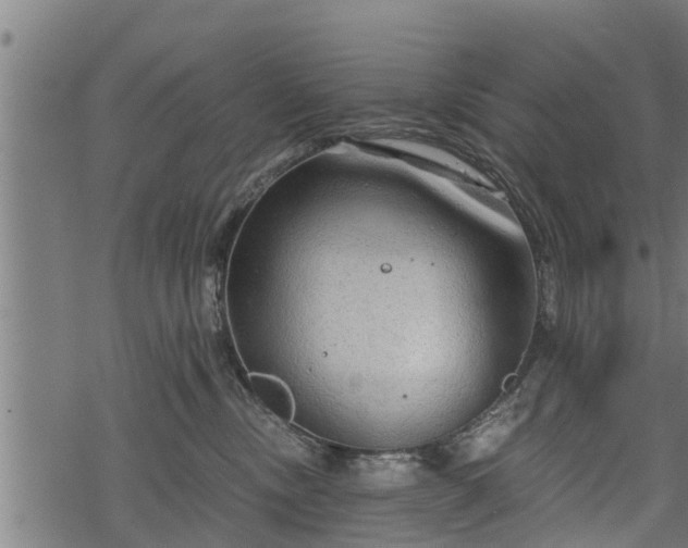 X0000068810378200605121256