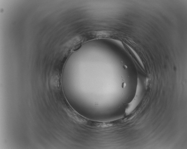 X0000068810379200605121257