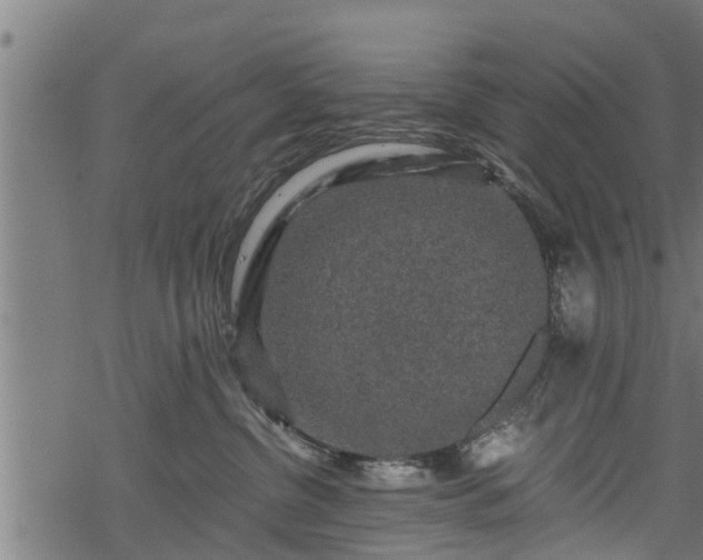 X0000068810380200605121257