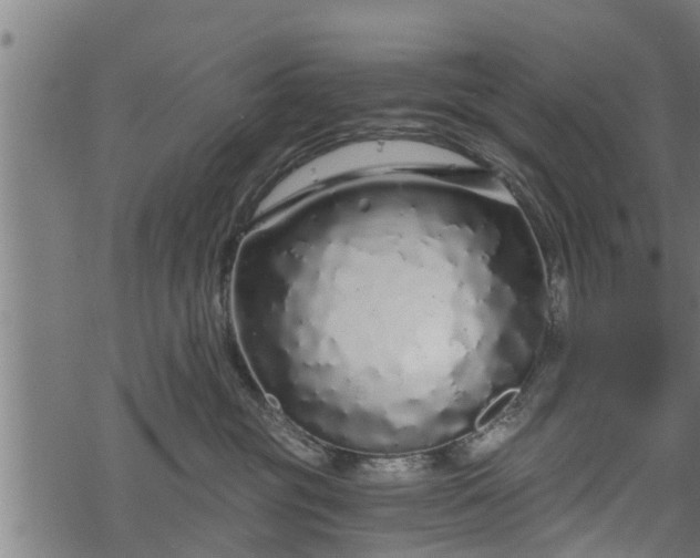 X0000068810381200605121257