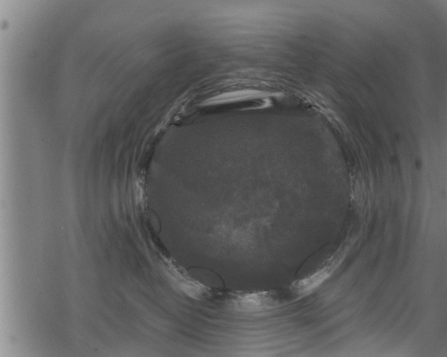 X0000068810382200605121257