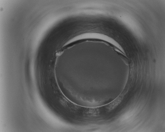 X0000068810383200605121257