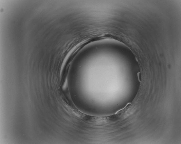 X0000068810384200605121257