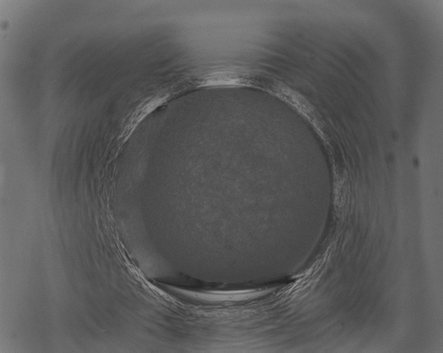 X0000068810385200605121256