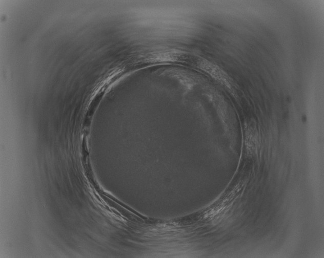 X0000068810386200605121256