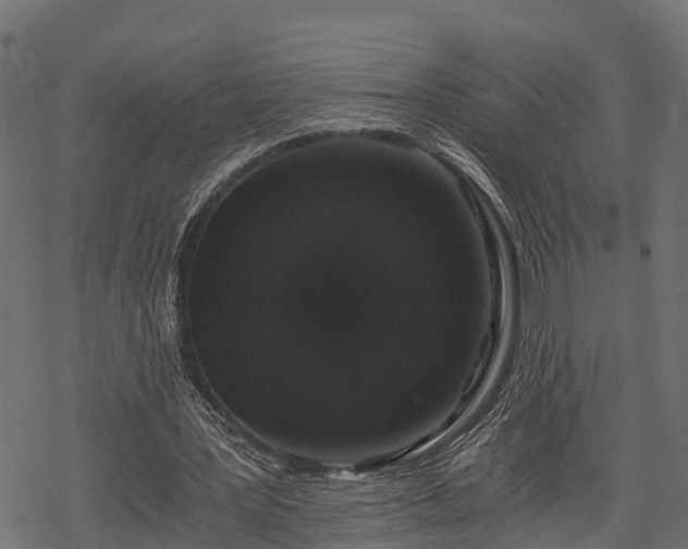 X0000068810387200605121256