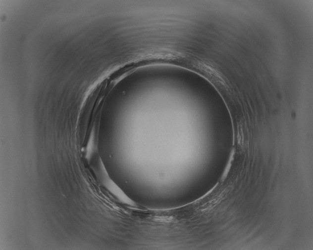 X0000068810388200605121256